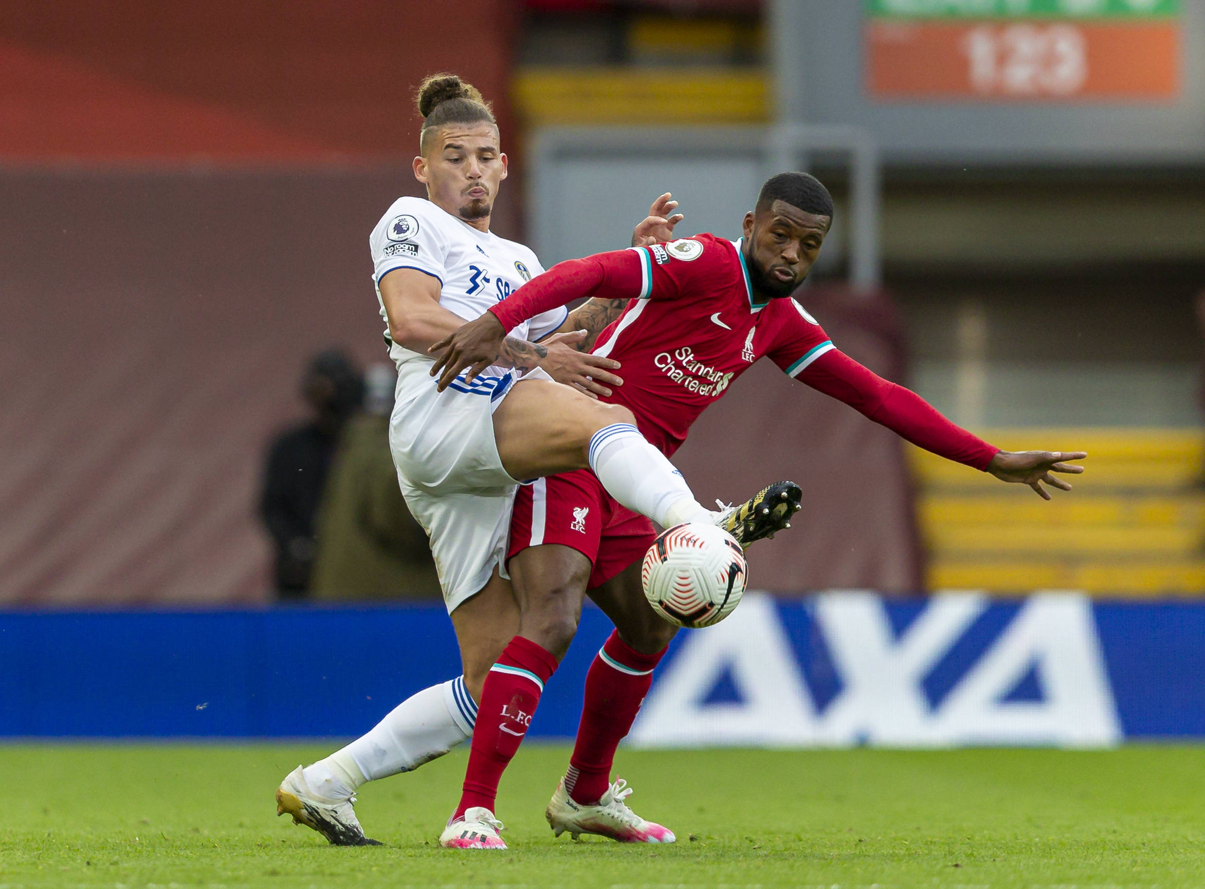 斯基犯下的 斯基犯下的